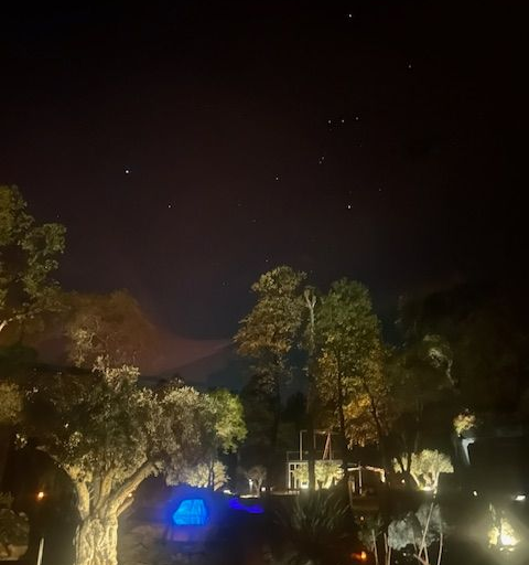 Night scene: illuminated trees and structures under a dark sky with visible stars; hints of mountains in the background.