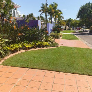 View Grass And Garden, Street — Gardening Services in Sunshine Coast, QLD
