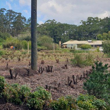 View Garden Beautiful — Gardening Services in Sunshine Coast, QLD