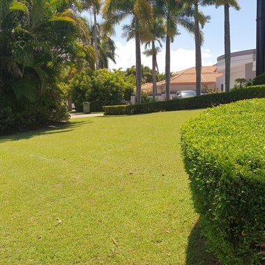 View Grass Beautiful — Gardening Services in Sunshine Coast, QLD
