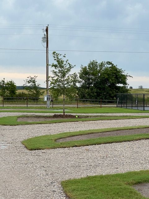 A gravel area with a tree in the middle of it