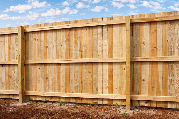 Privacy Fence