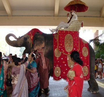 live elephant at Moroccan themed event