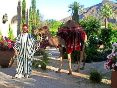 a man in a striped robe is walking a camel on a leash.