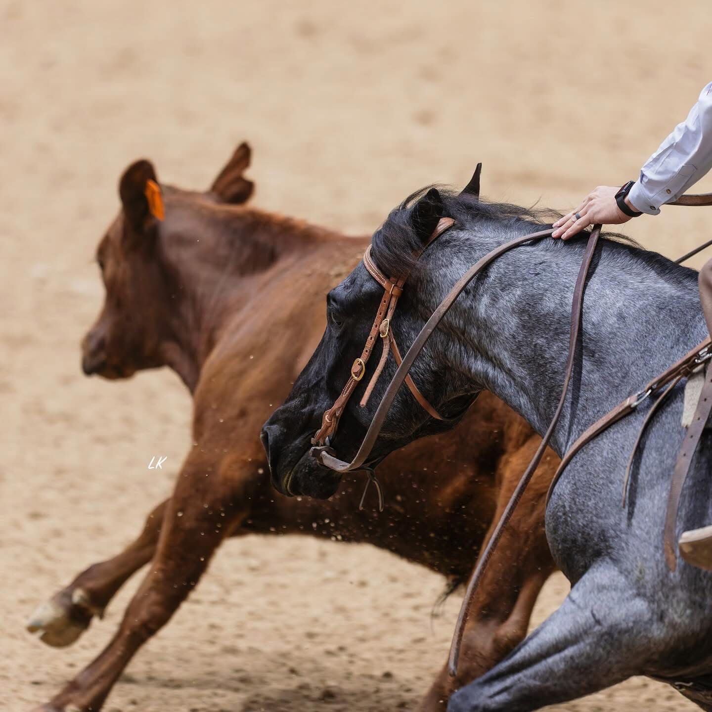 A rider in a black coat on a brown horse jumping over a fence at an equestrian competition.