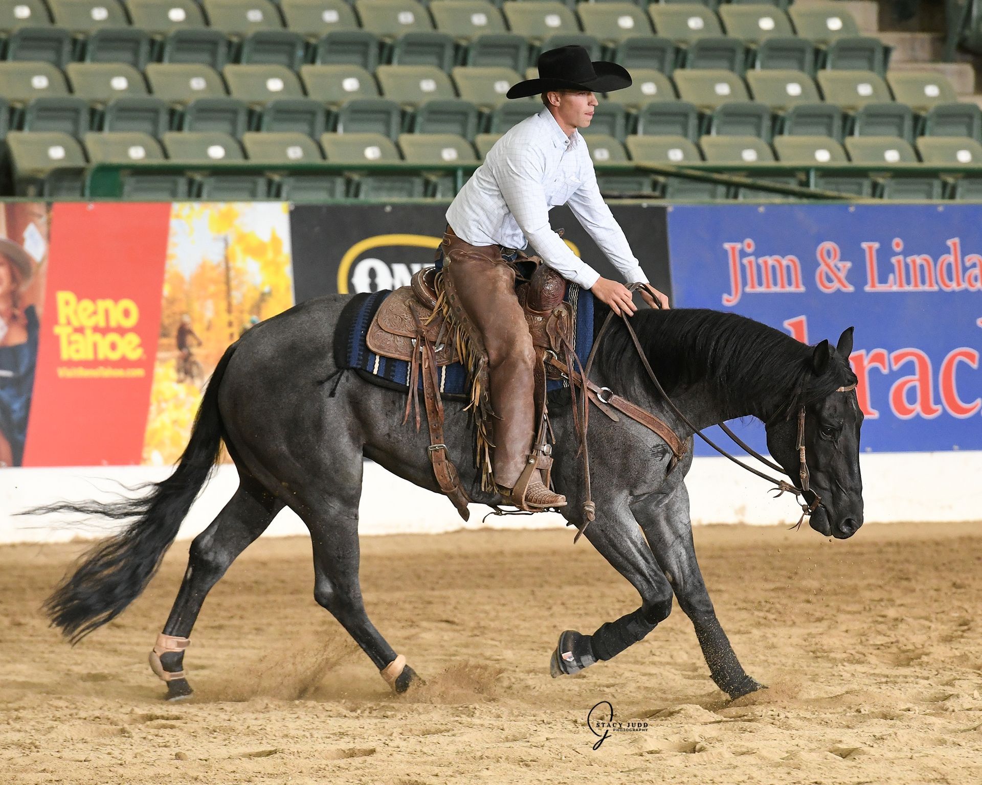 A person on a blue roan horse in a riding arena, performing.