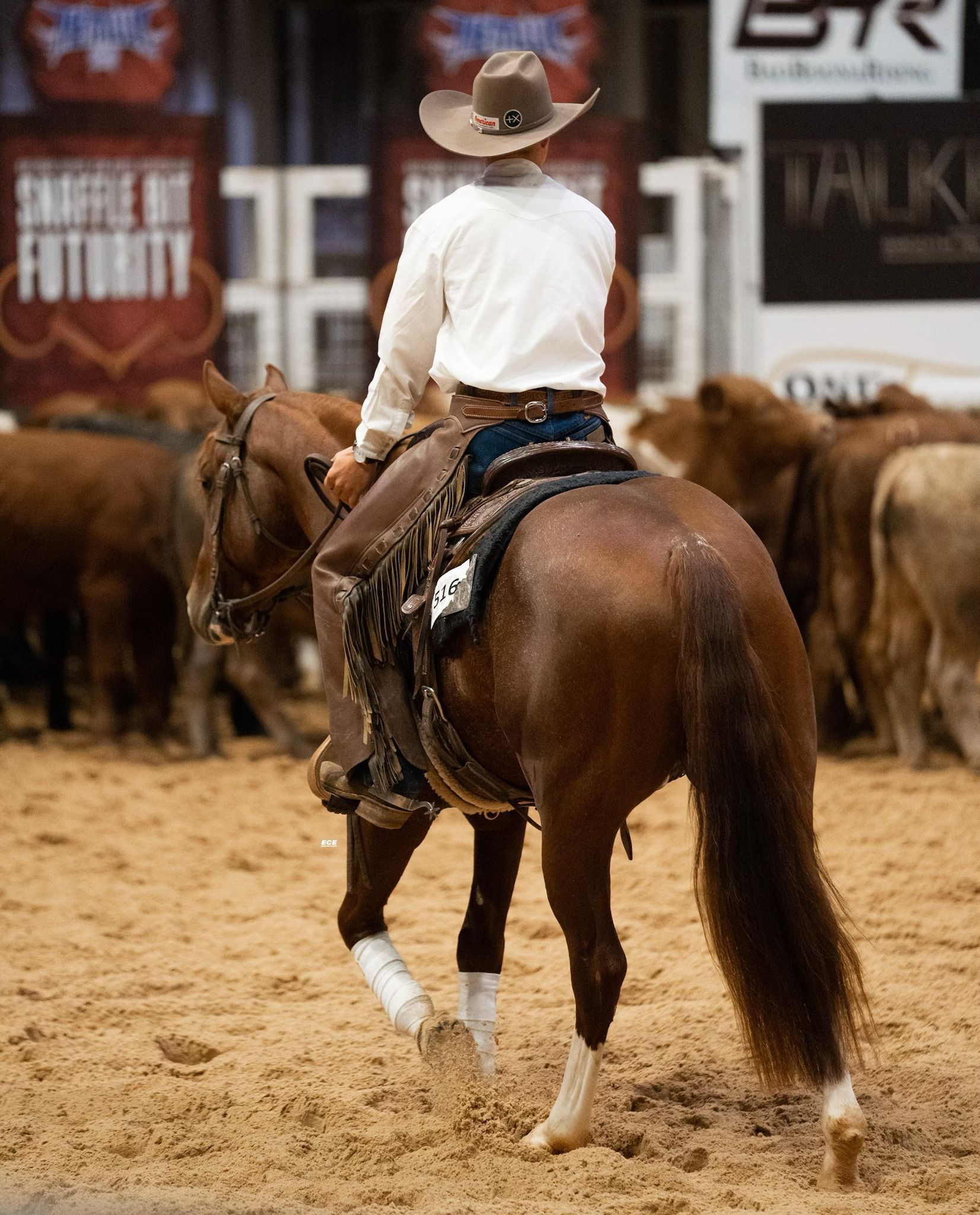 Cowboy on horseback, riding toward cattle in an arena; tan dirt, brown horse, beige shirt, cowboy hat.