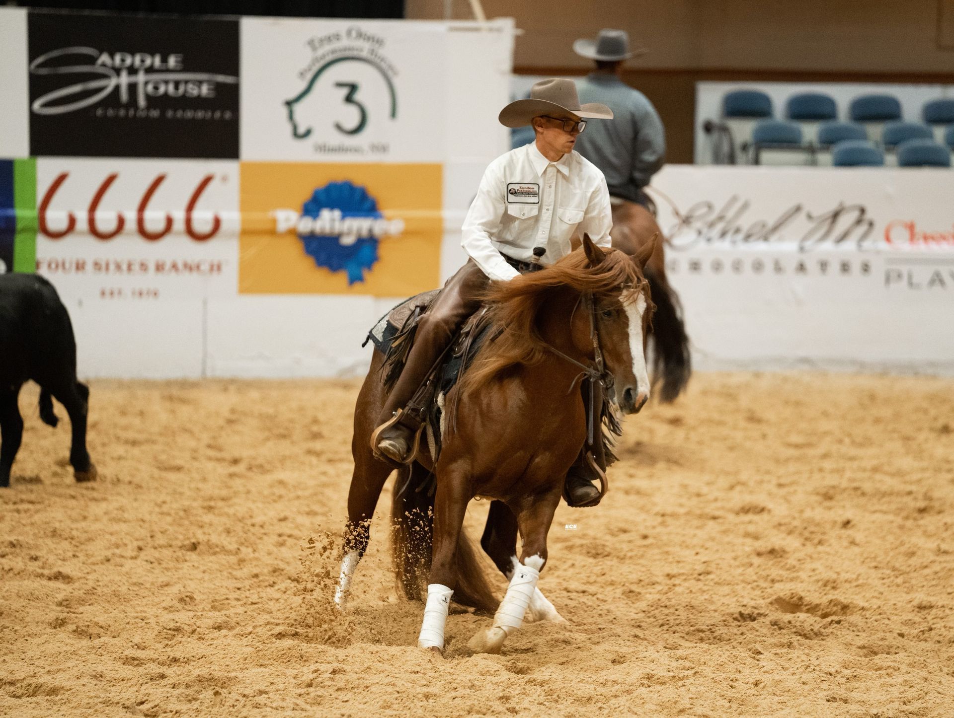 A rider on a brown horse with white leg markings in an arena. The rider is wearing a hat and light-colored shirt.