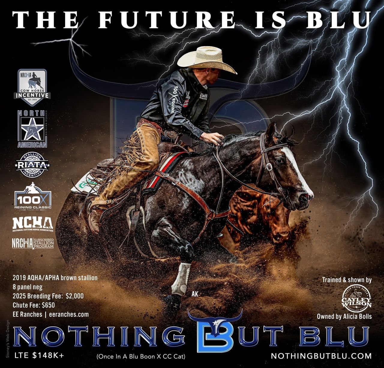 A woman on horseback roping cattle. Text: