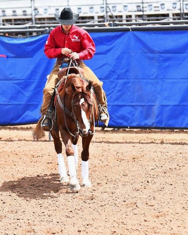 A rider on a brown and white horse in an arena, wearing red, black hat, blue backdrop.