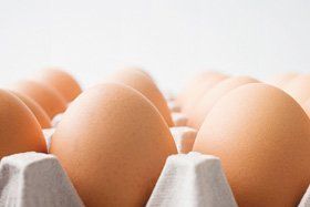 wholesale eggs - Bournemouth, Dorset - Claytons Eggs - 