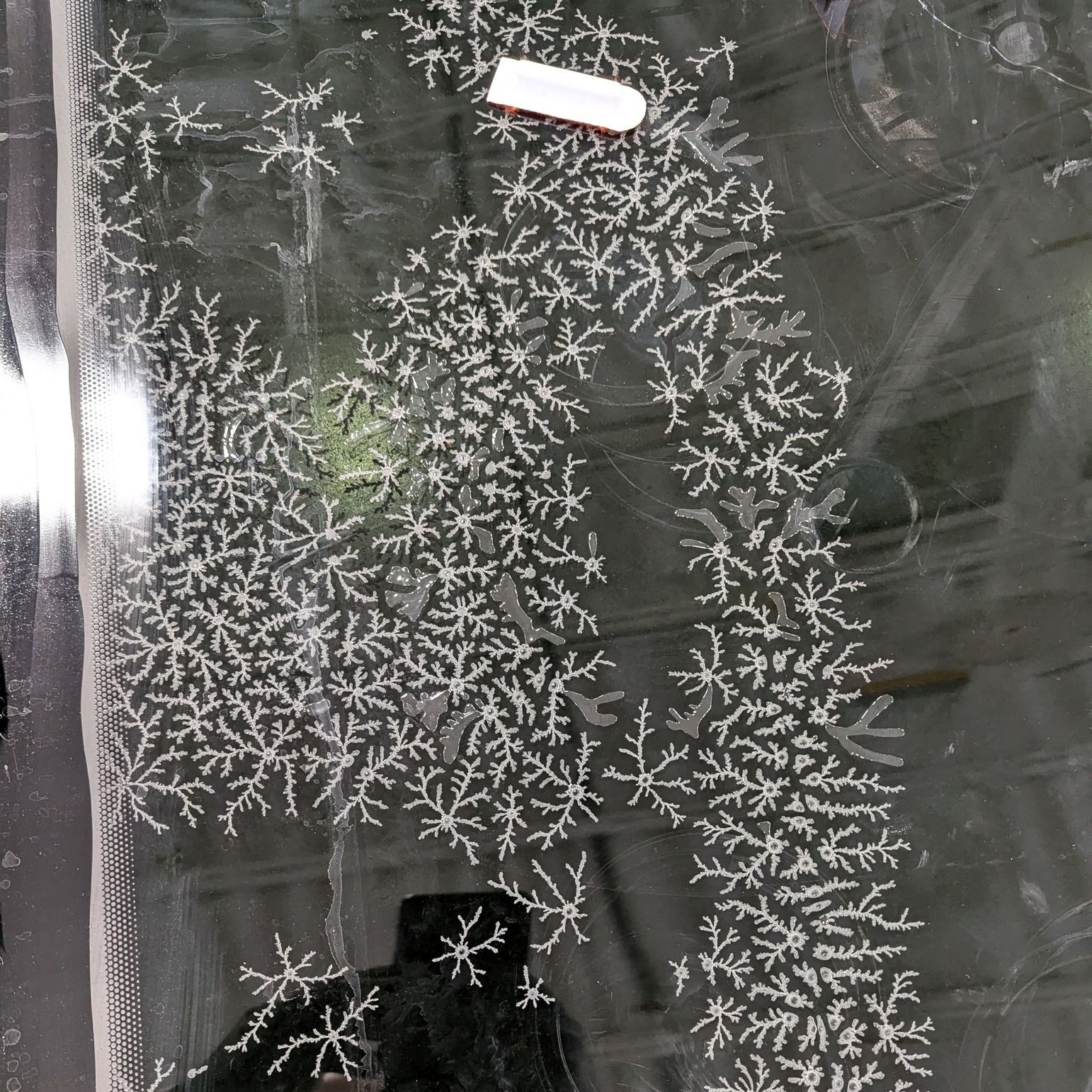 A drawing of a christmas tree on a glass surface