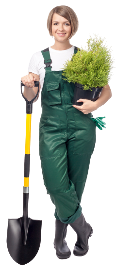 smiling woman professional gardener with shovel and tree