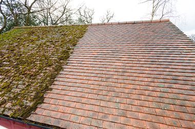 A roof with moss growing on it and a roof with moss growing on it.