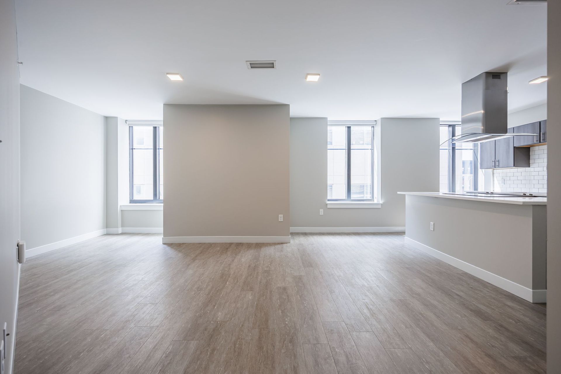 Open concept living room and kitchen