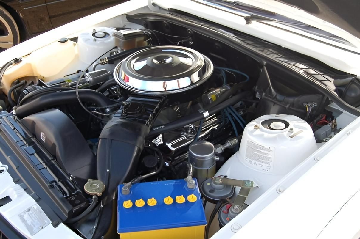 Clean white engine bay with visible battery, brake and coolant reservoirs — Chris Bale Automotive in Toronto, NSW