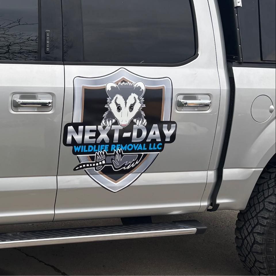 A silver truck with a logo for next-day wildlife removal llc