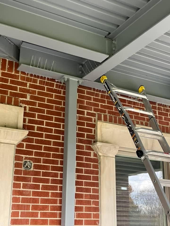 A ladder is hanging from the ceiling of a brick building.