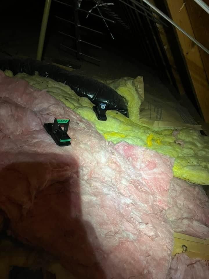 A person is standing in an attic with a flashlight.