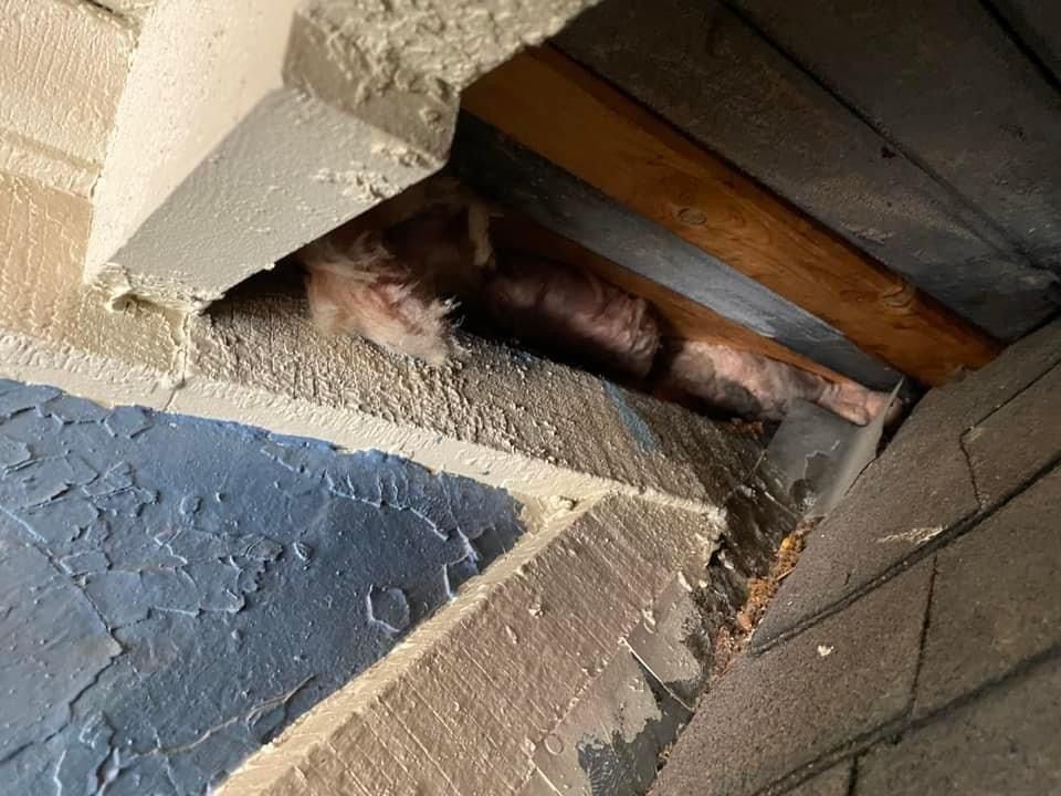 A cat is laying in a hole in a brick wall.