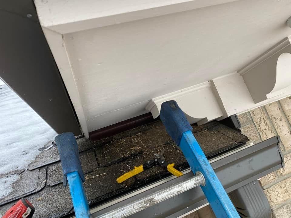 A blue ladder is sitting on top of a roof.