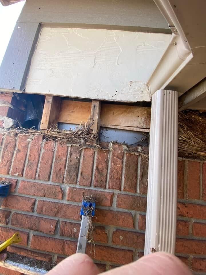 A person is holding a ladder in front of a brick wall.