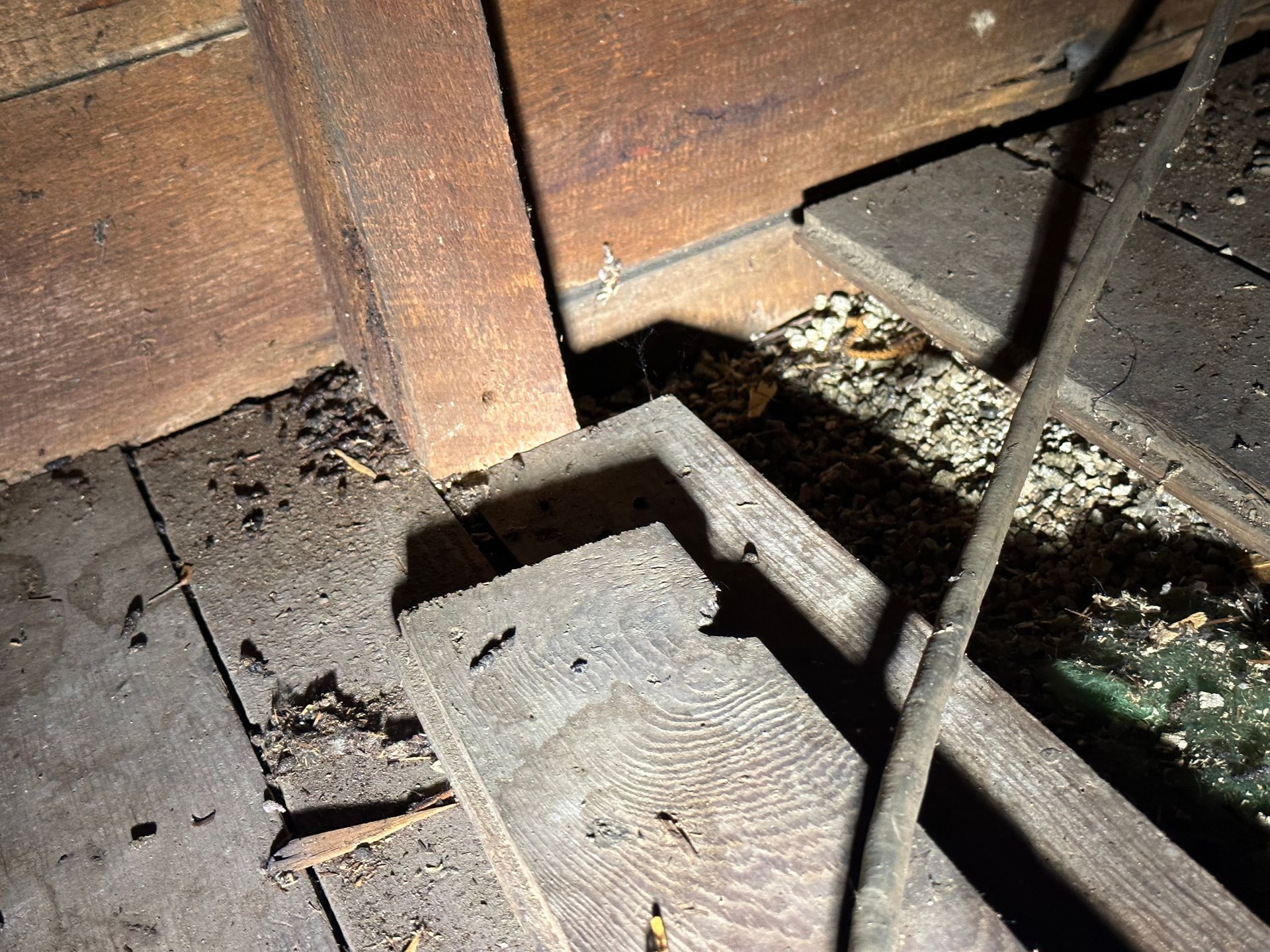 A close up of a wooden floor with a lot of dust on it.