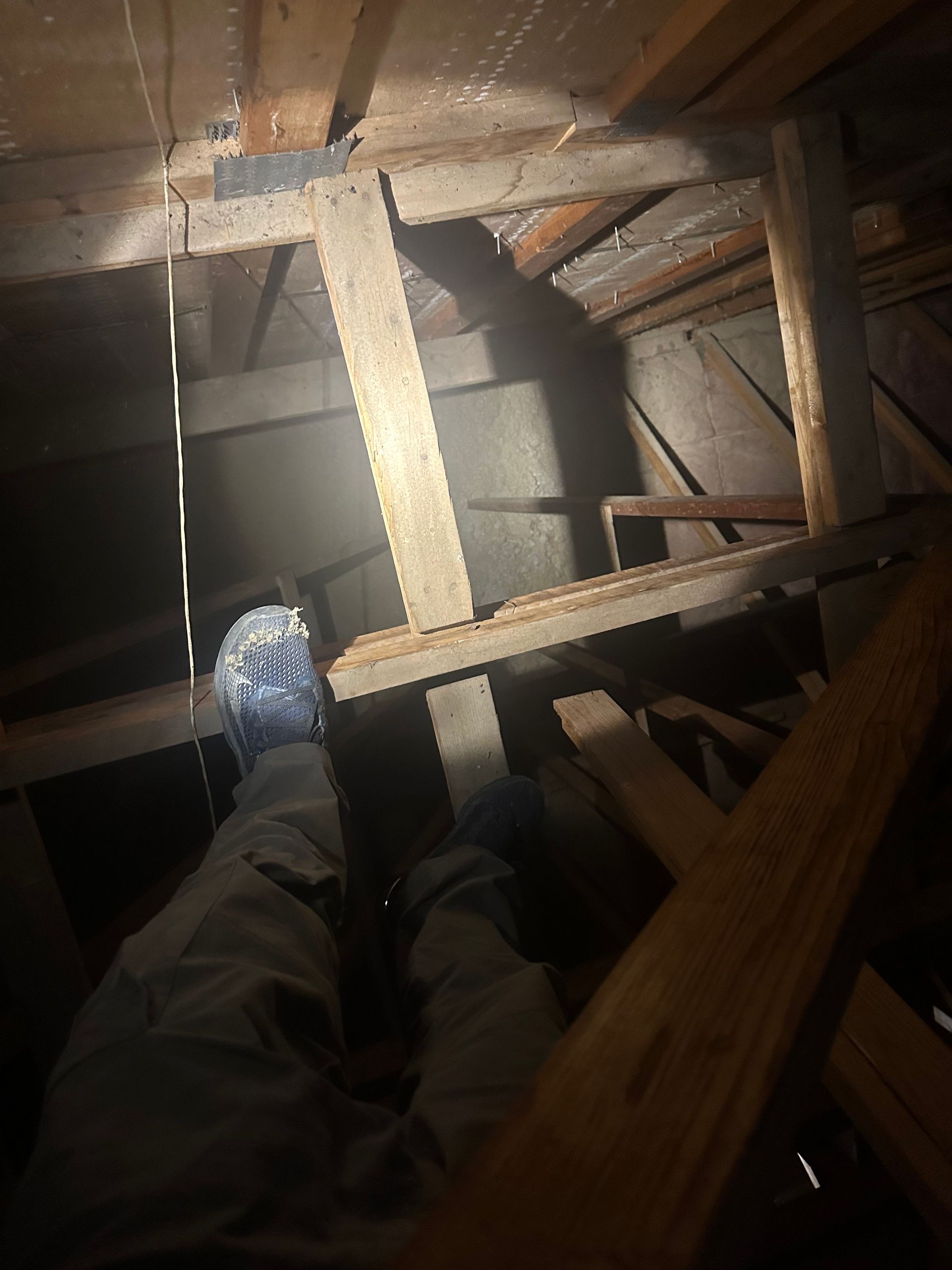 A person is standing in an attic with a flashlight.