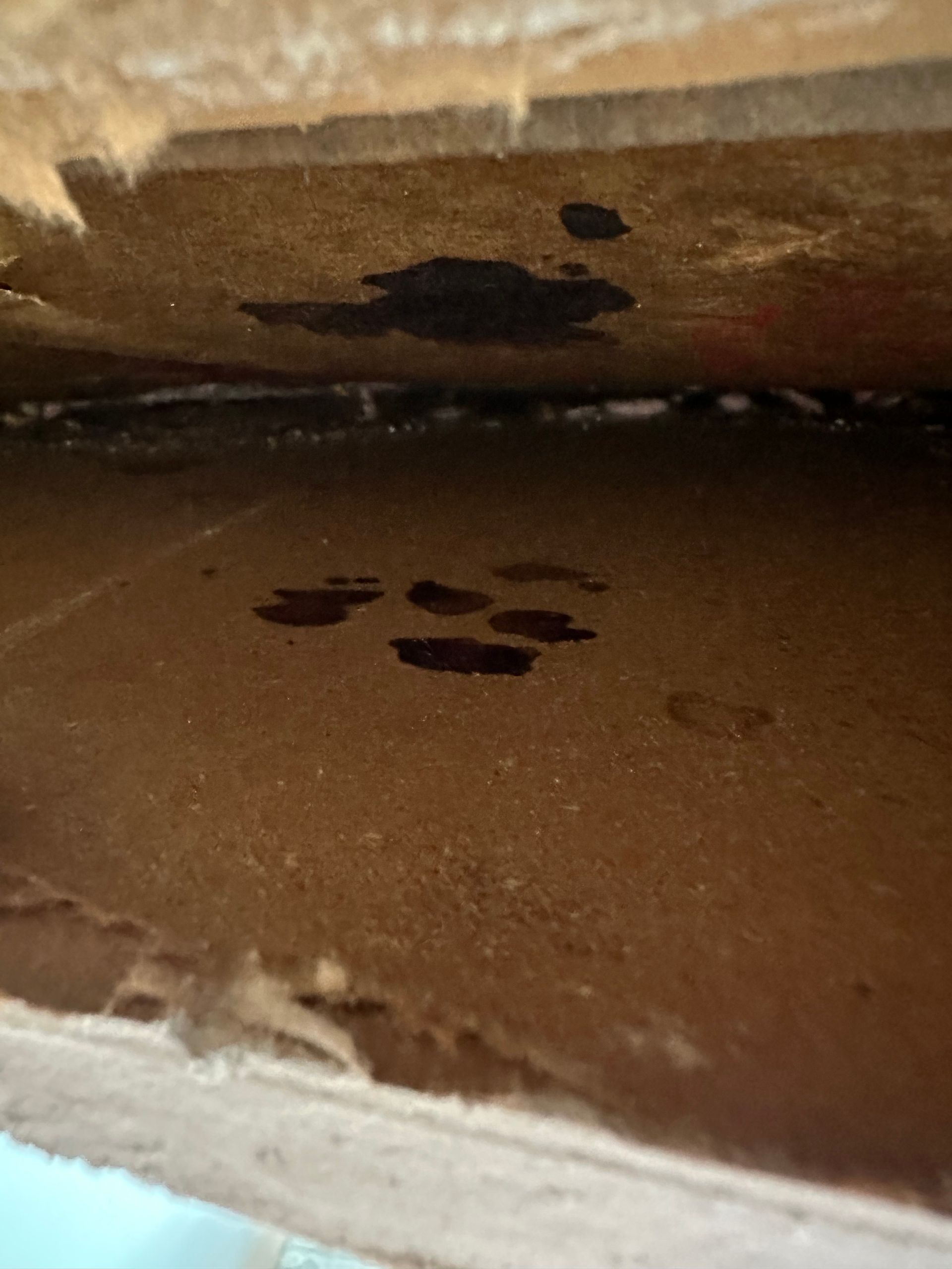 A close up of a piece of cardboard with stains on it.