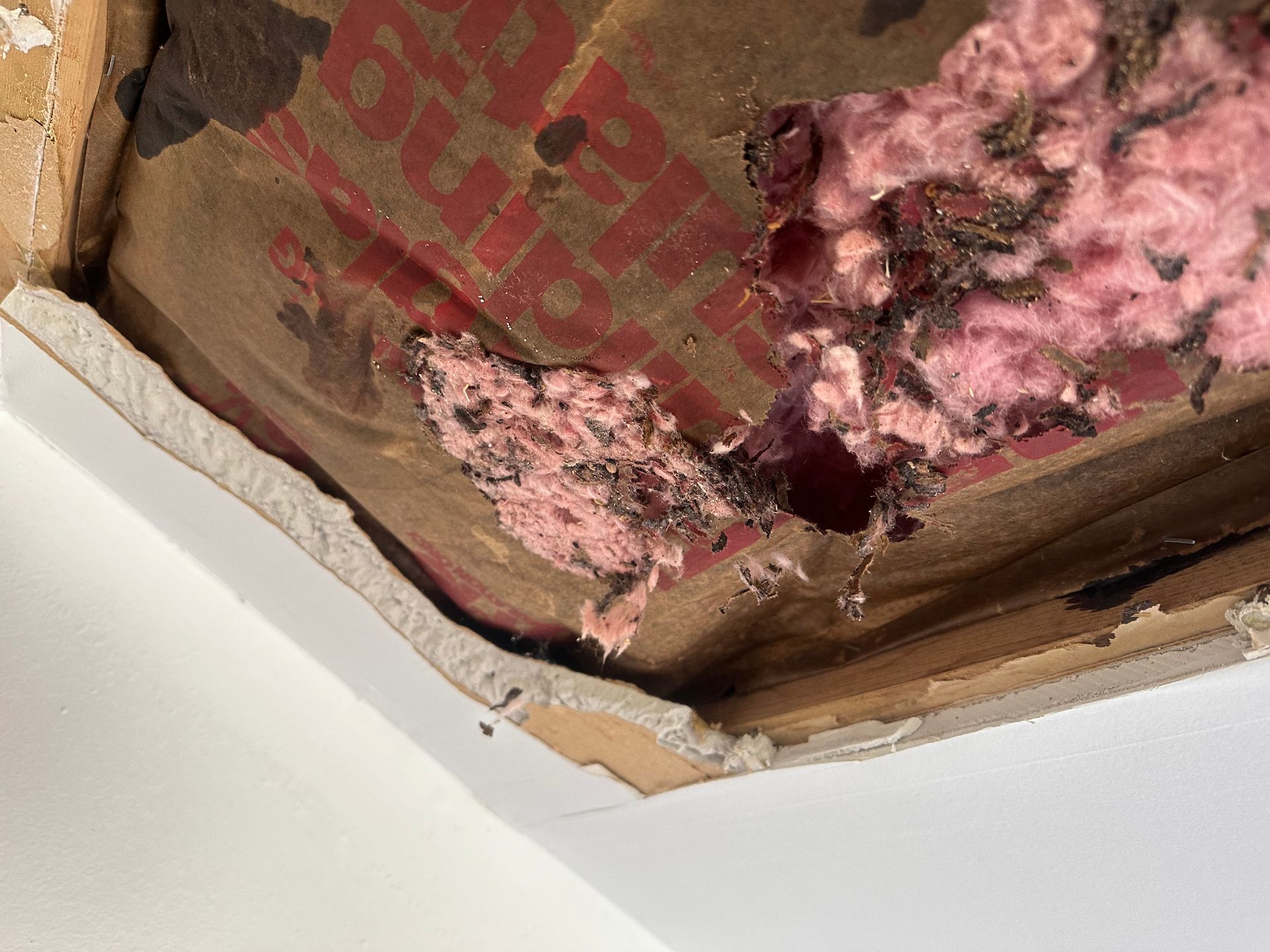 A close up of a cardboard box with pink insulation coming out of it.