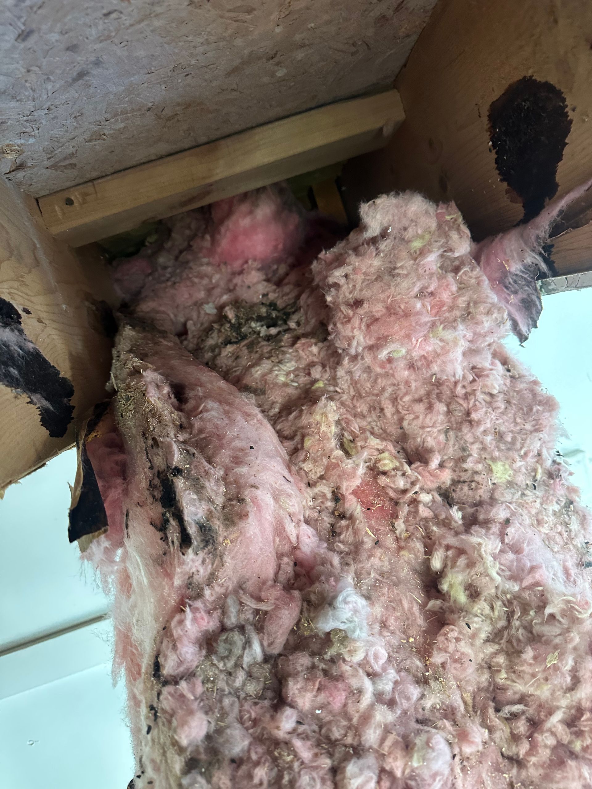 A pile of insulation is sitting in a corner of a room.