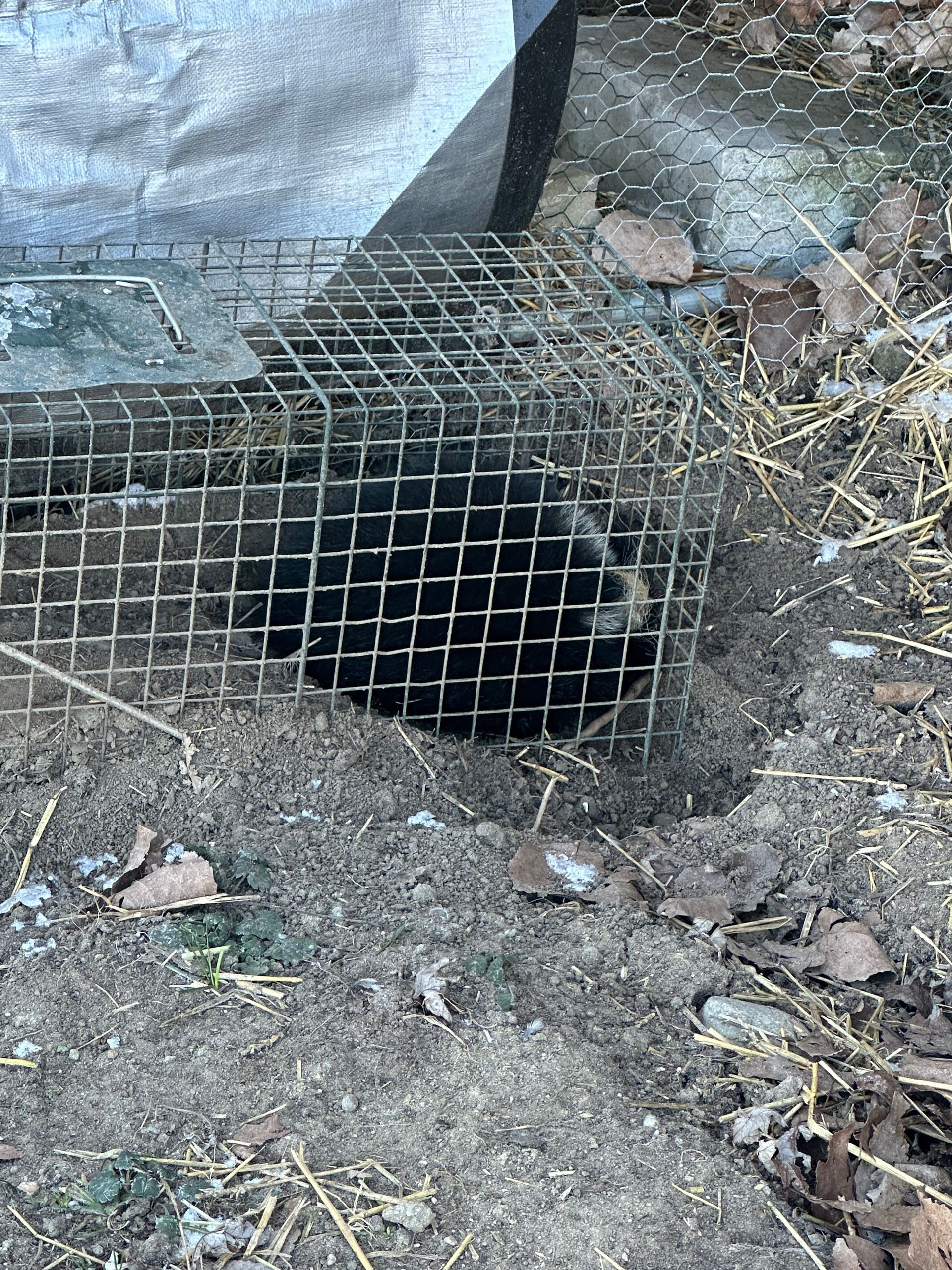 A hole in the ground with a wire fence around it.