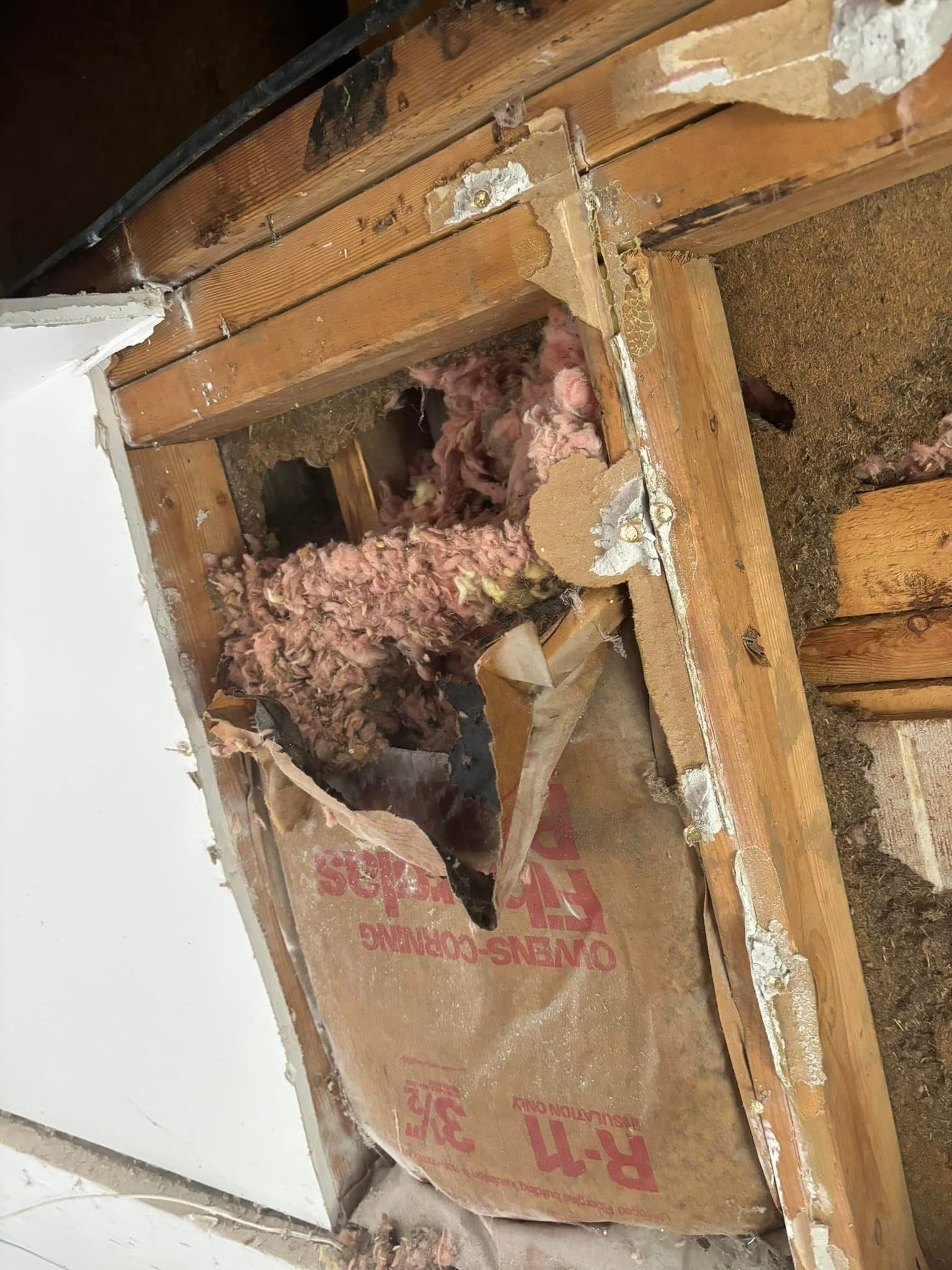 A close up of a piece of wood with insulation coming out of it.