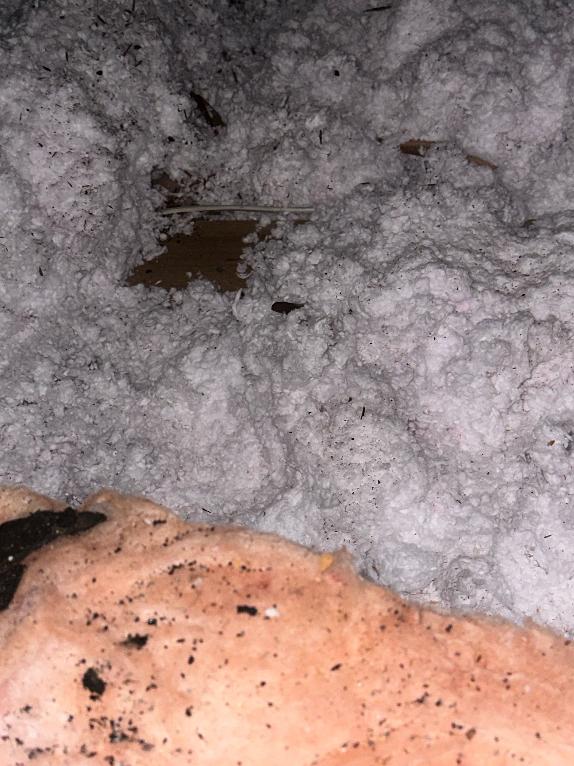 A close up of a piece of insulation in an attic.