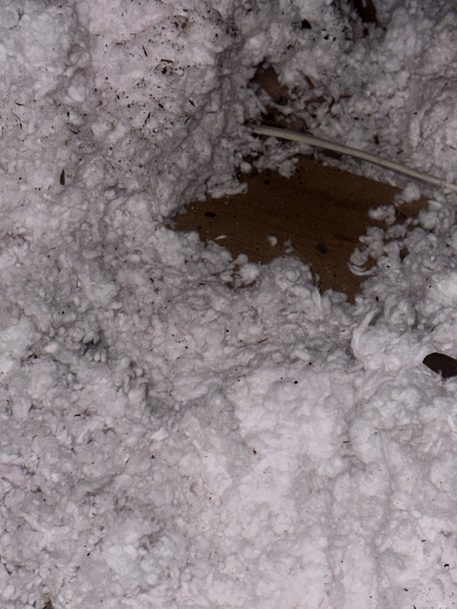 A close up of a pile of white insulation in an attic.