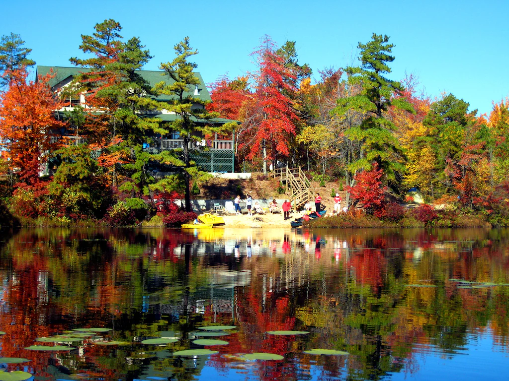 A lake surrounded by trees with a house in the background