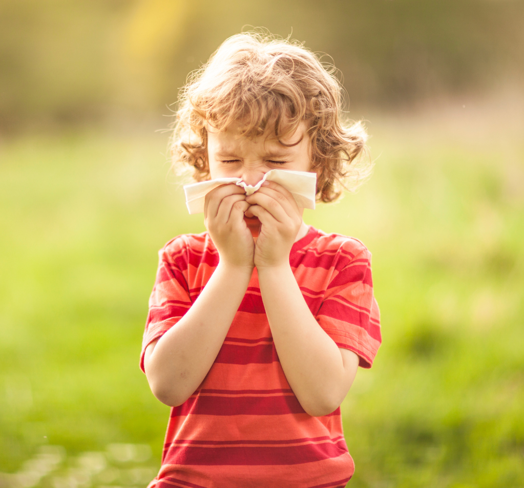 敏感調理 / 季節轉換保養