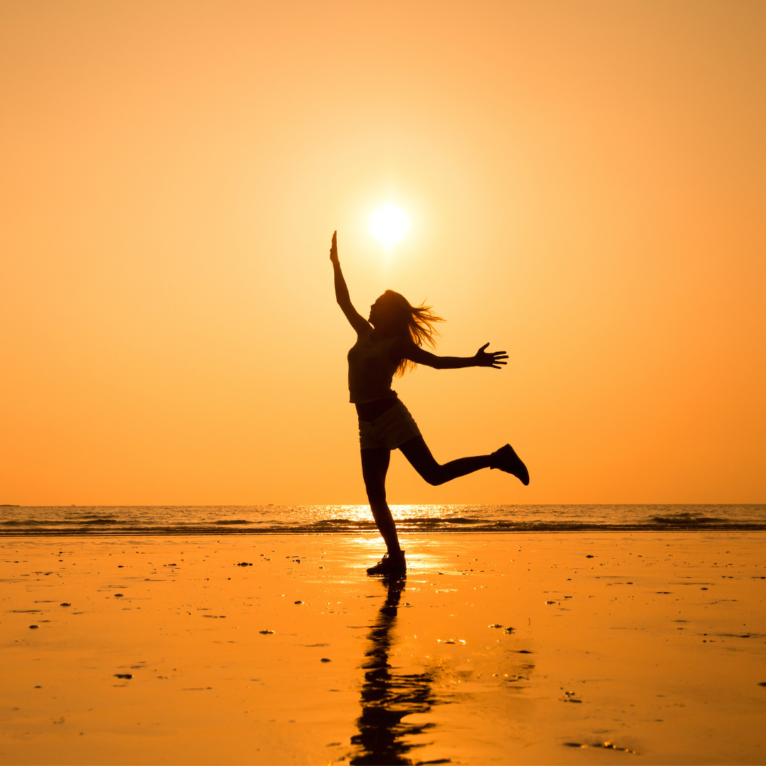 消化調理 / 循環順暢