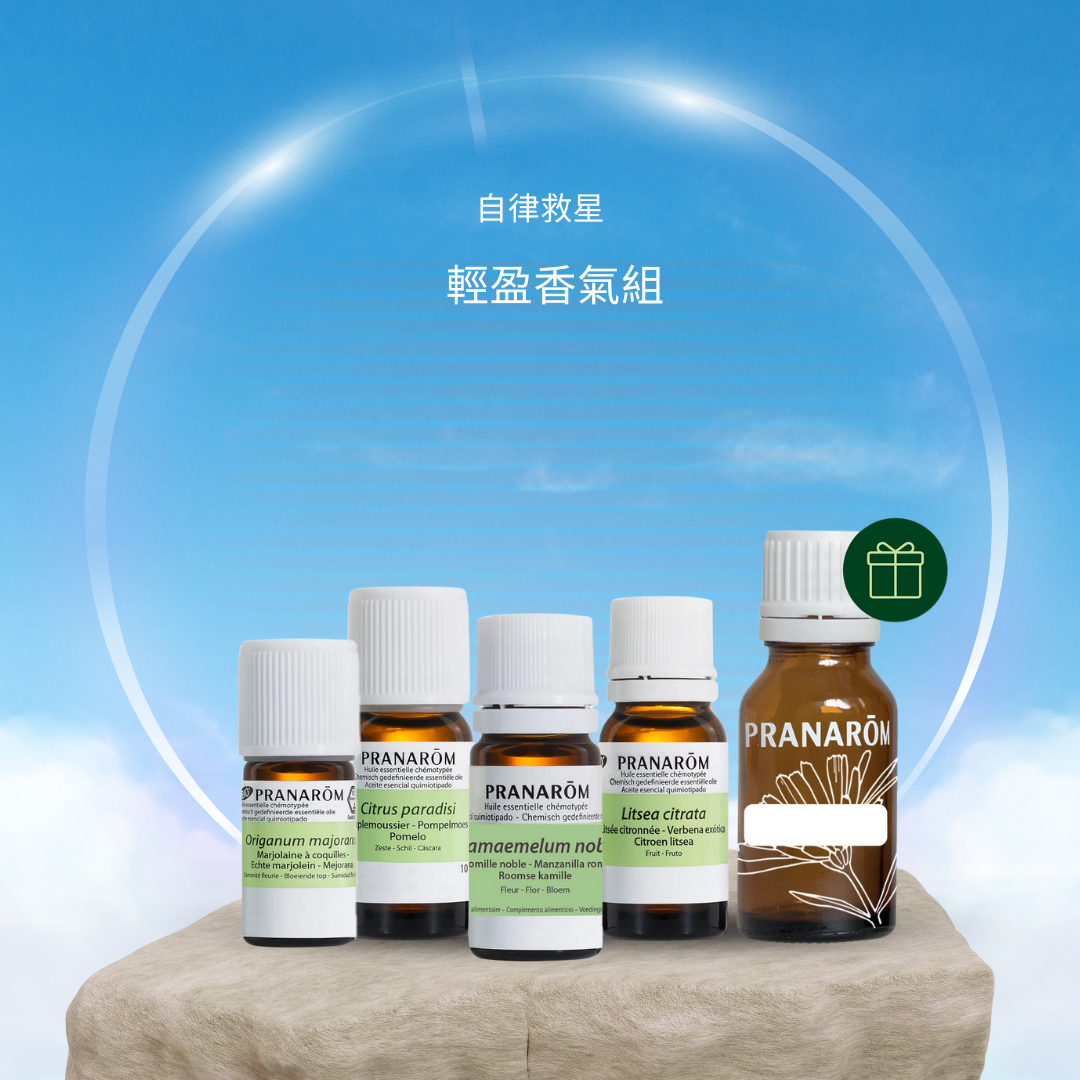 【行動救星】碰撞後保養滾珠組 ?新春感謝祭 ? 75 折至月底