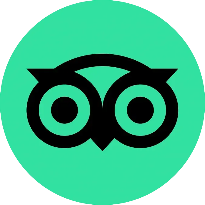 Een groene cirkel met daarop een zwarte uil