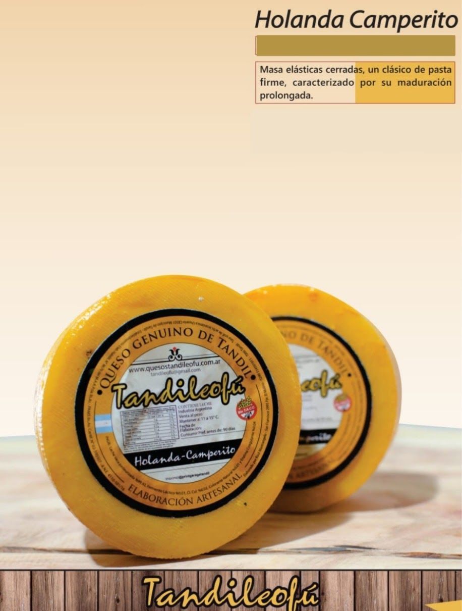 QUESO HOLANDA CAMPERO