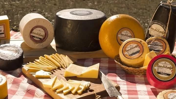 Una mesa cubierta con una variedad de quesos y galletas.