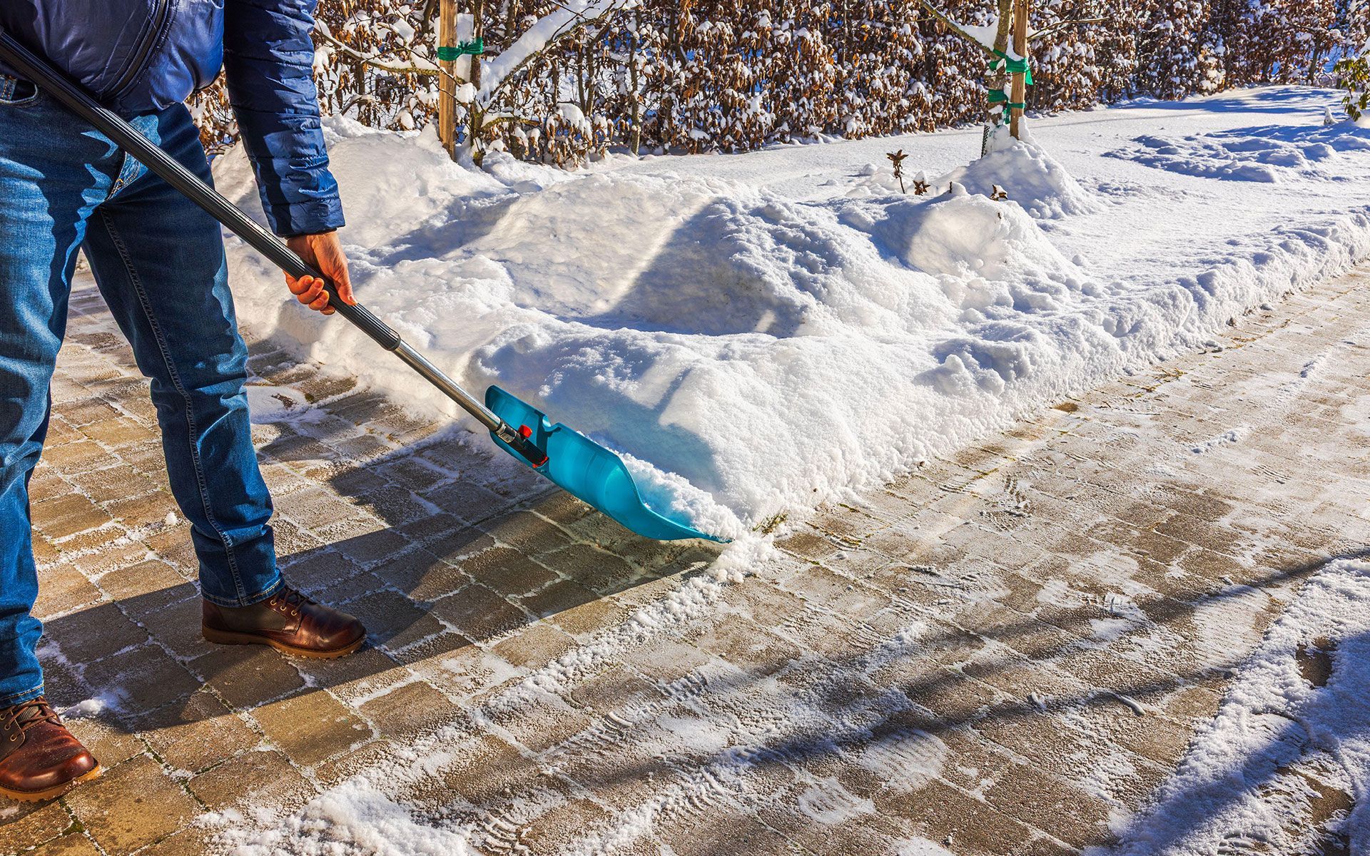 Person shoveling snow from a sidewalk on a sunny day; blue shovel, jeans, and brown shoes.
