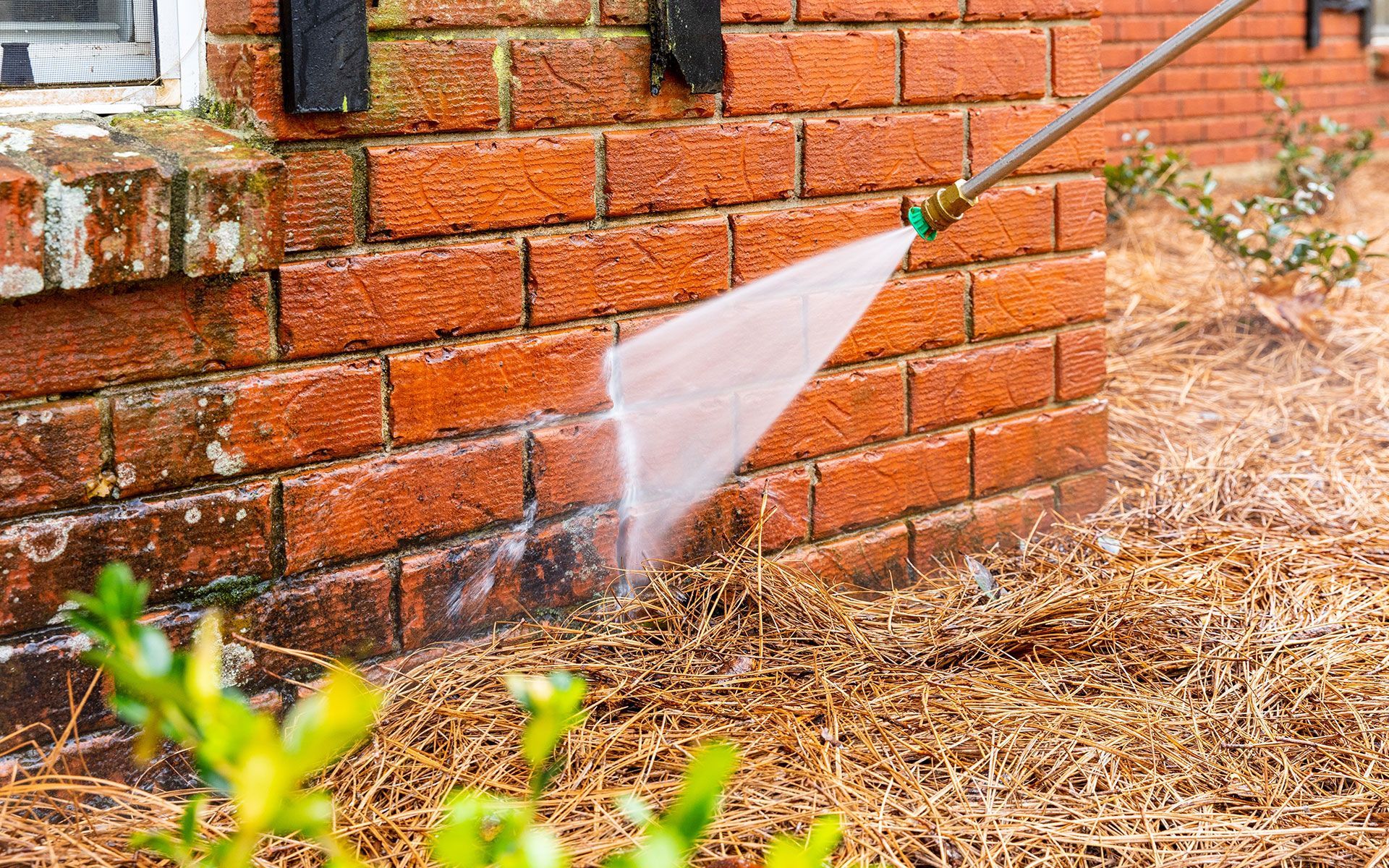 Pressure washing a brick wall; removing mold and grime.