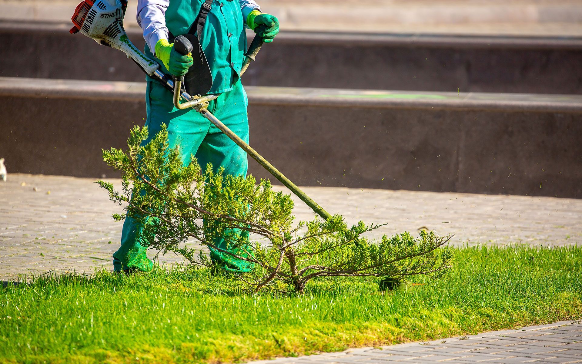 Person in green overalls trimming bushes with a weed wacker on a sunny day.