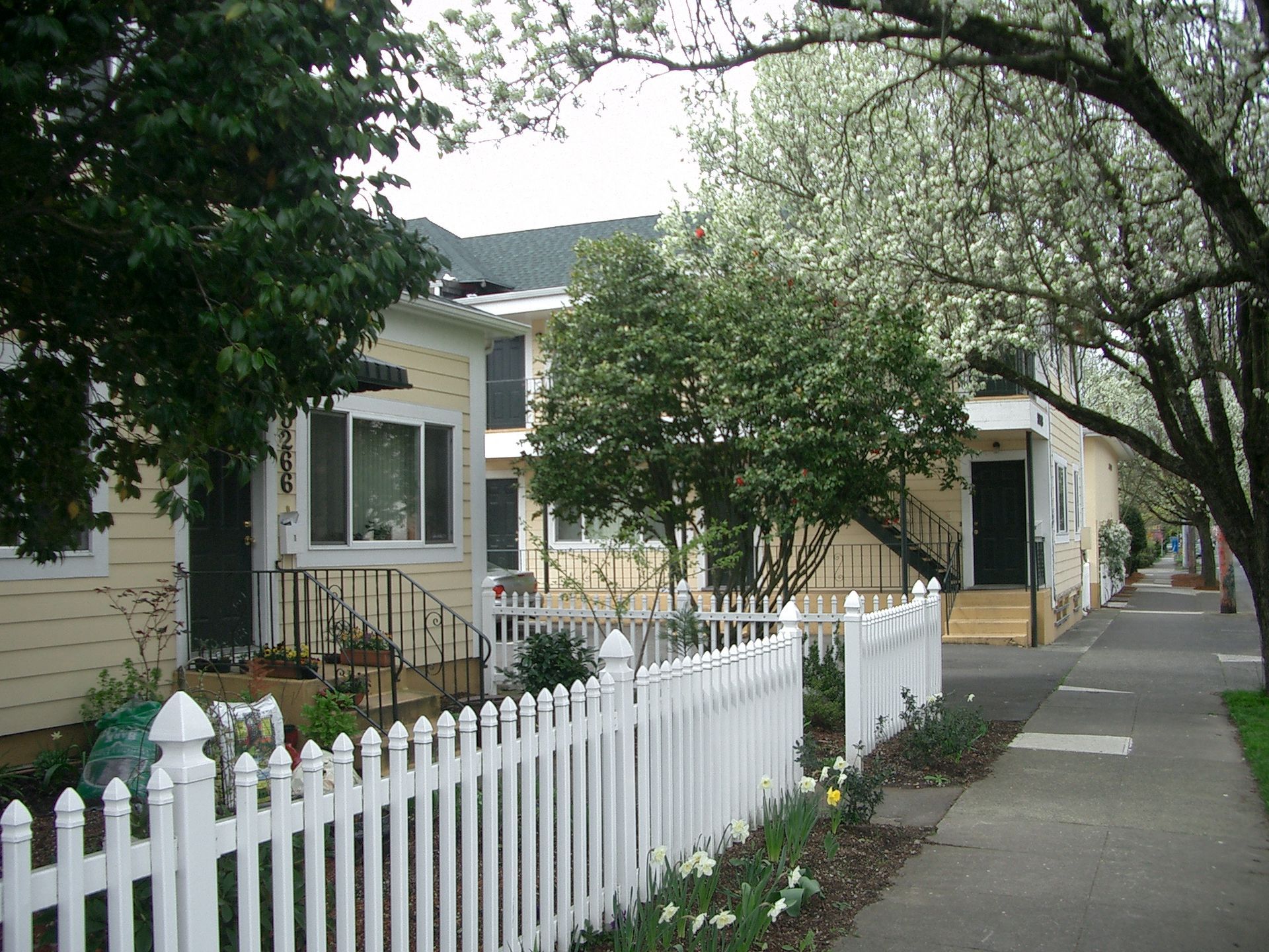 A white picket fence surrounds a row of houses