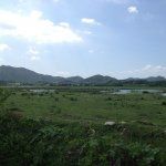 A lush green field with mountains in the background on a sunny day.