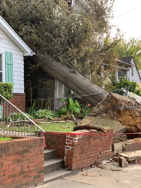 emergency tree removal company, tree trimming, tree pruning, stump grinding, stump removal, tree care specialists, land clearing company, turner's tree service