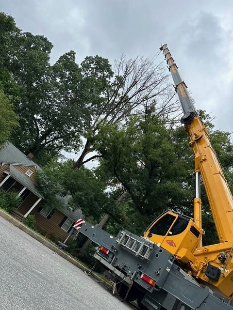 emergency tree removal company, tree trimming, tree pruning, stump grinding, stump removal, tree care specialists, land clearing company, turner's tree service