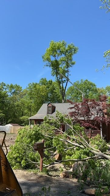 emergency tree removal company, tree trimming, tree pruning, stump grinding, stump removal, tree care specialists, land clearing company, turner's tree service